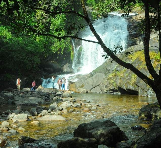Nature Image