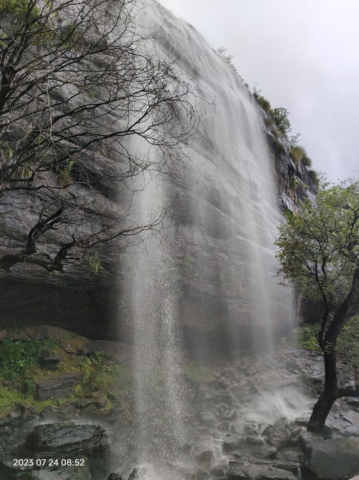 Nature Image